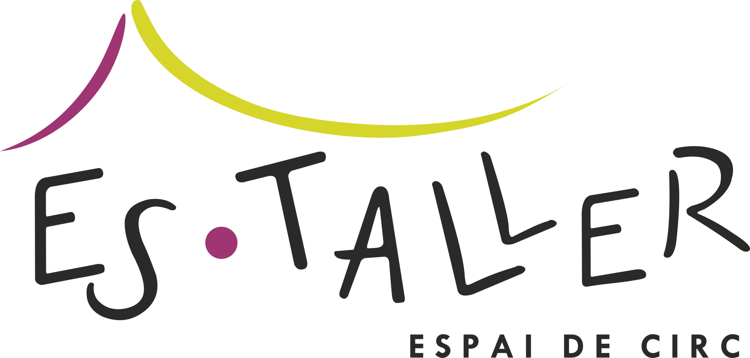 Es Taller, Espai de Circ